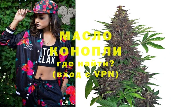 индика Болхов
