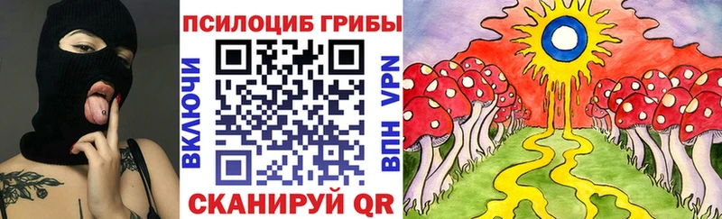 Псилоцибиновые грибы Cubensis  Беслан 