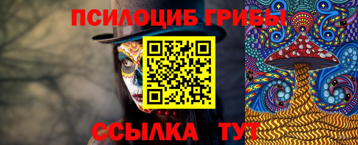 Галлюциногенные грибы Cubensis  Вход с VPN  наркошоп  Беслан 