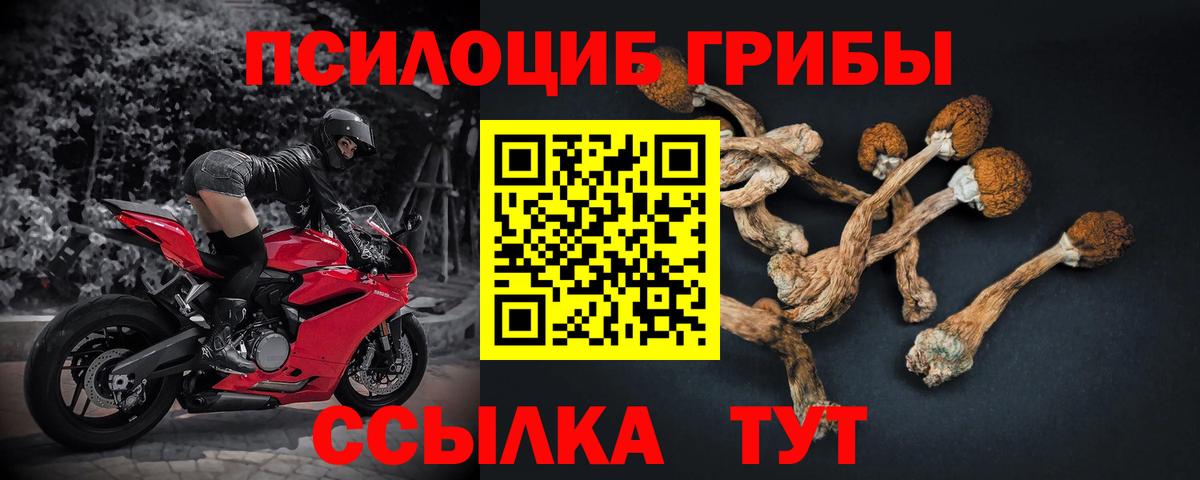 Галлюциногенные грибы Magic Shrooms Беслан