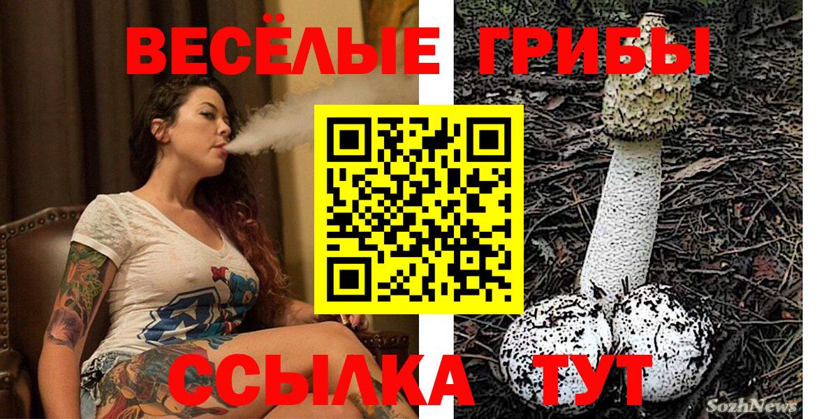 Псилоцибиновые грибы MAGIC MUSHROOMS  Галлюциногенные грибы мухоморы  Беслан 