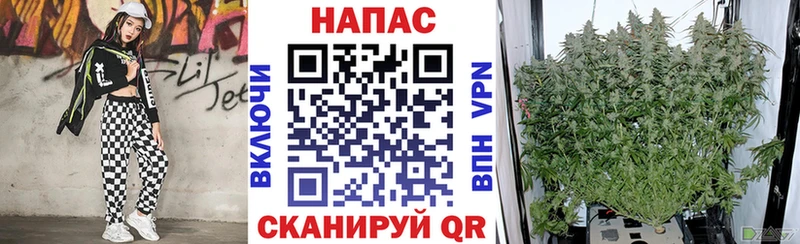 Шишки марихуана MAZAR Беслан